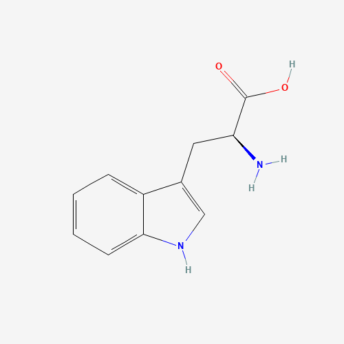 Szkielet 2D L-Tryptophan, CAS 73-22-3, wzór C11H12N2O2